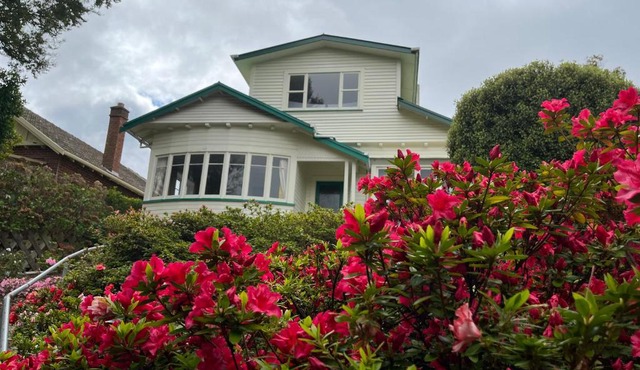 Spacious comfortable character House -Maori Hill in Dunedin