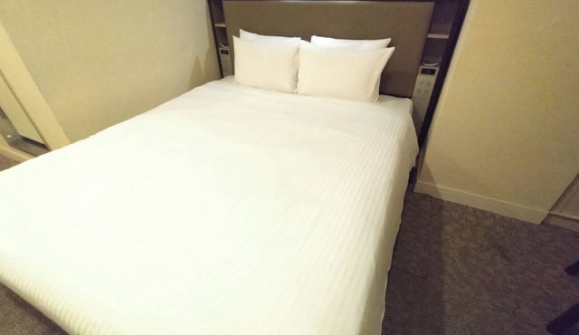 Standard Room only Double C Nonsmoking/Taito-ku Tokyo