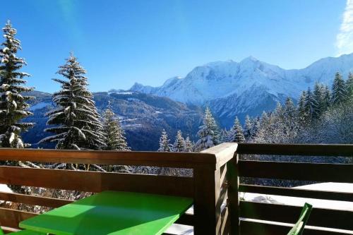 Studio Bettex 4p- vue Mont-Blanc