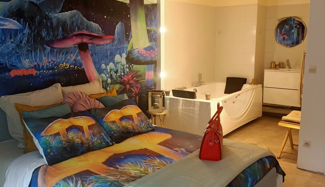 Superb 60m2 with suite and jacuzzi