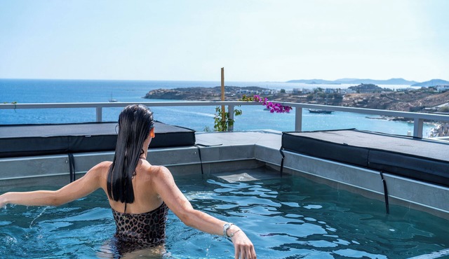 Superior Apartment with Private Glass Pool & Shared Infinity Pool, Gym, Bar