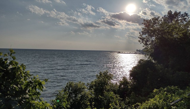 "That 70's Cottage" (on Lake Erie!) Free Firewood!