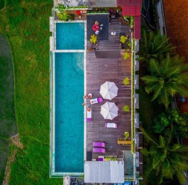 The Evitel Resort Ubud