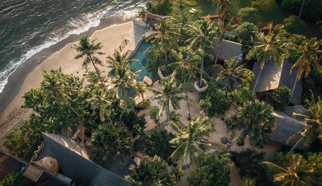 The Seed Bali