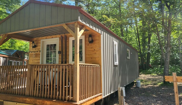Tiny cabin in towering pines, with lake view. Pets accepted!