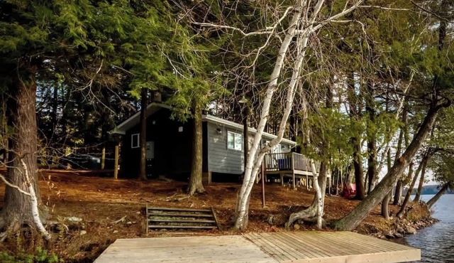 Waterfront Four Season Cottage in the Woods WiFi