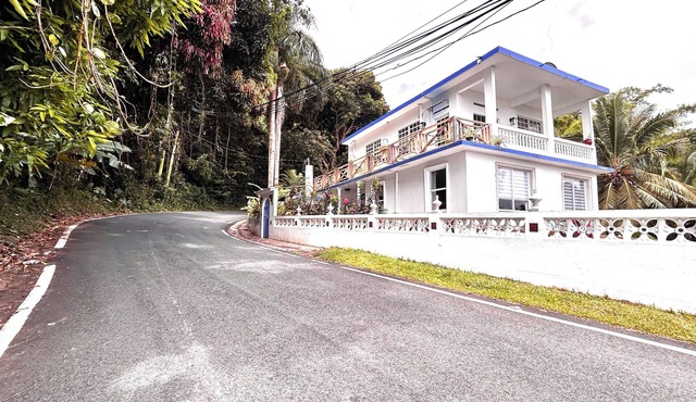 Wonderful 2-bedroom cottage with AC in charming Ceiba. Minutes from the Ferry.