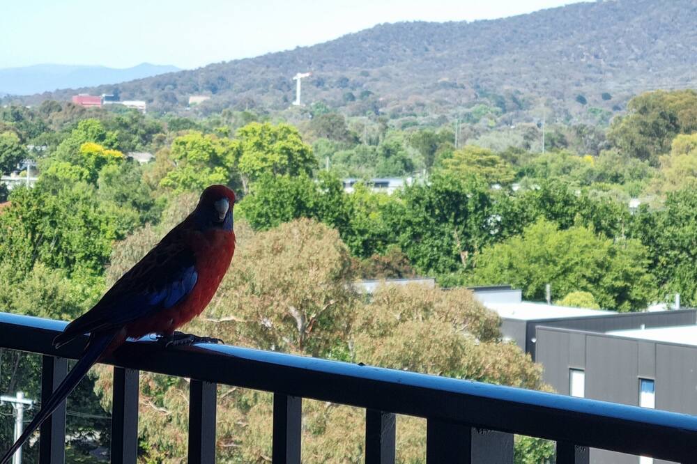 Photo of Outdoor in Lyneham