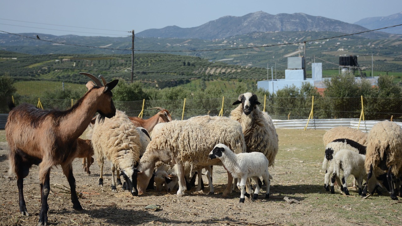 Photo of Outdoor in Stamnoi