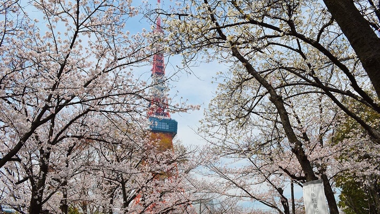 Photo of Outdoor in Higashiazabu