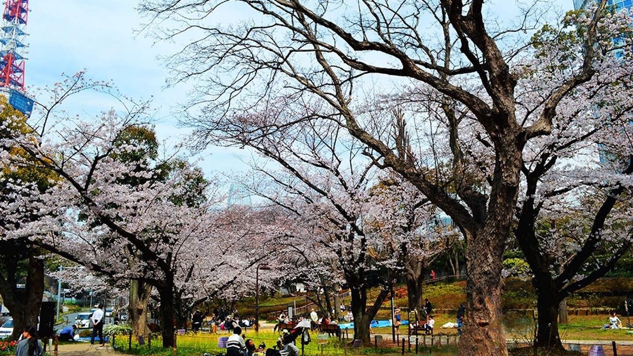 Photo of Outdoor in Higashiazabu