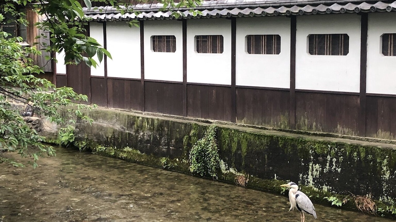Photo of Outdoor in Horiikecho