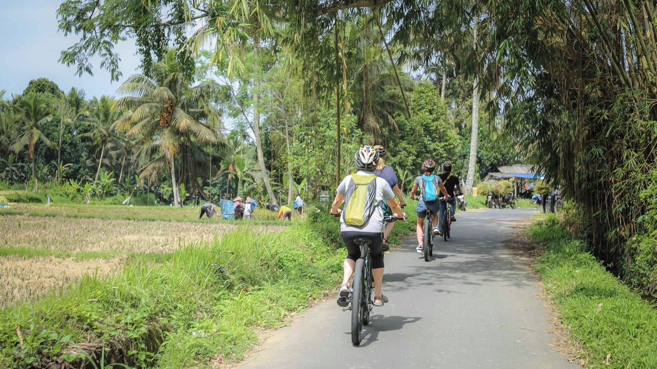 Photo of Outdoor in Nyuh Kuning