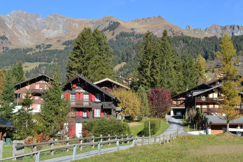 Photo of Outdoor in Ormont-Dessus