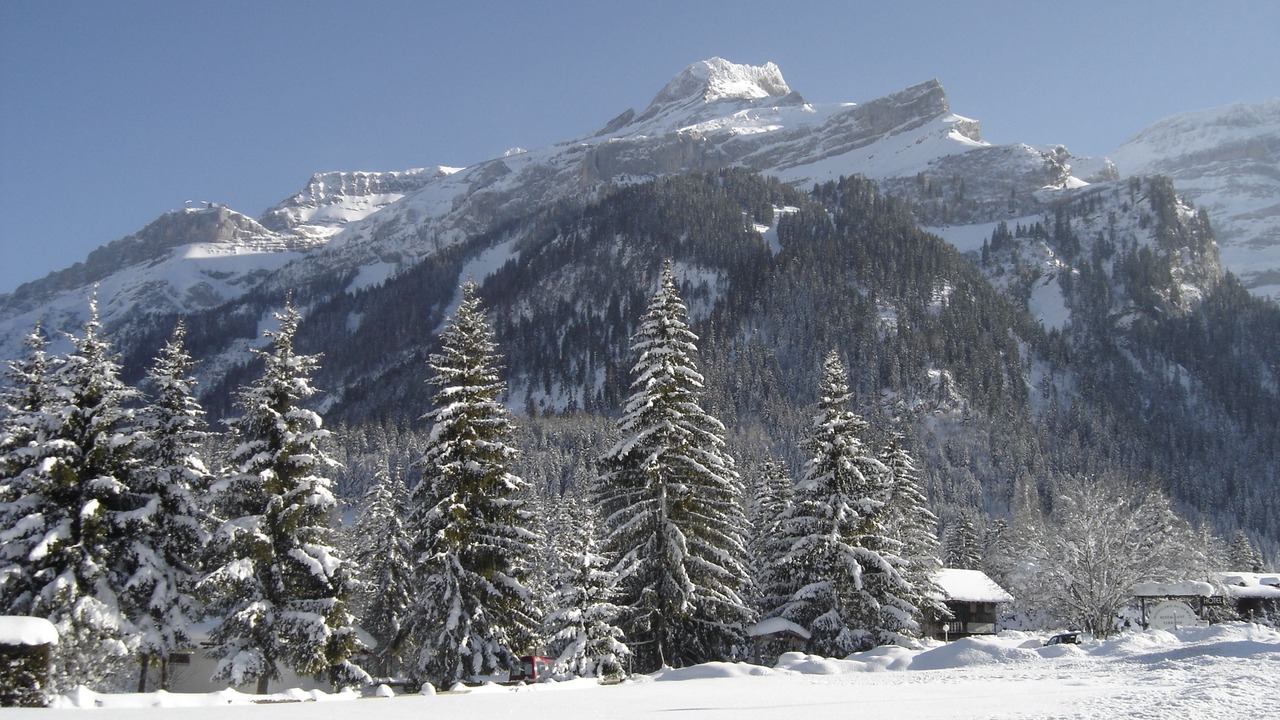 Photo of Others in Ormont-Dessus