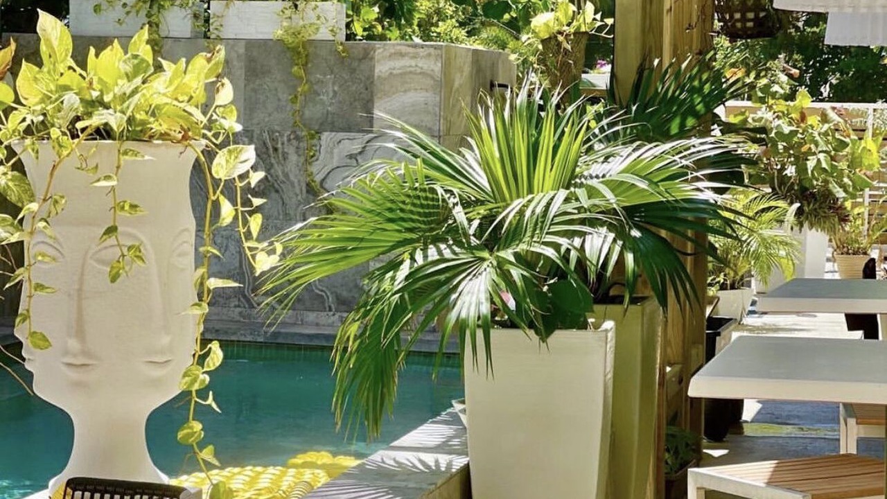 Photo of Outdoor in Puntas