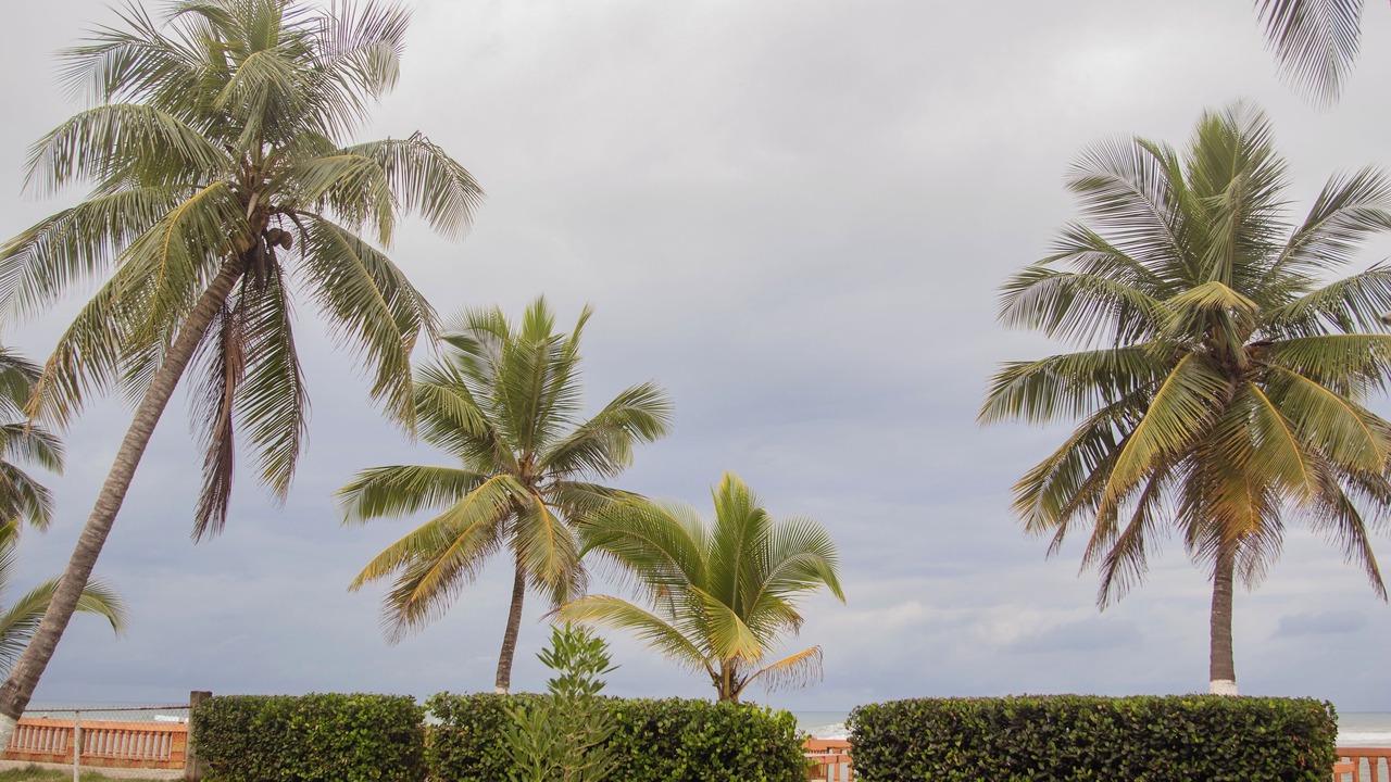 Photo of Outdoor in Guayabo