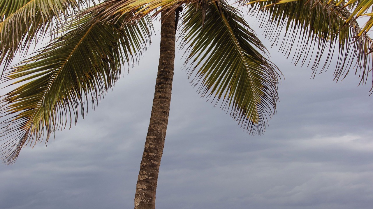 Photo of Outdoor in Guayabo