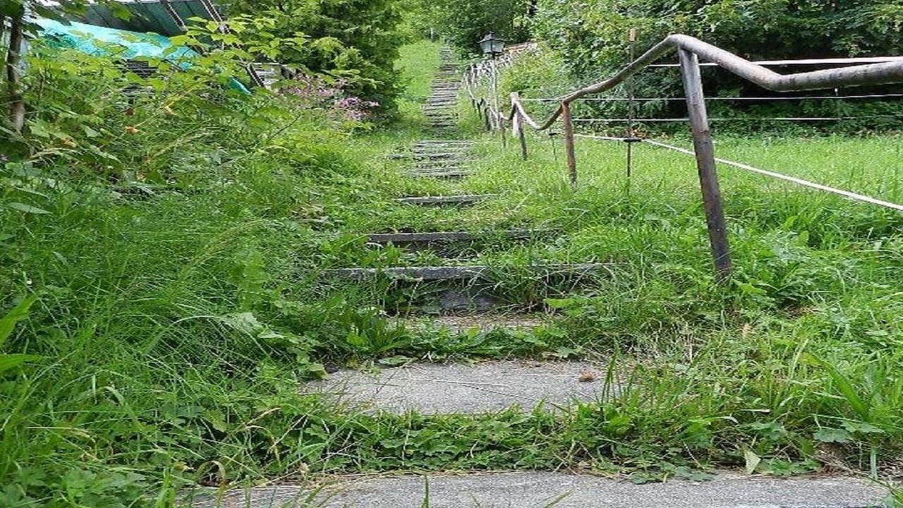 Photo of Outdoor in Saanenmoeser