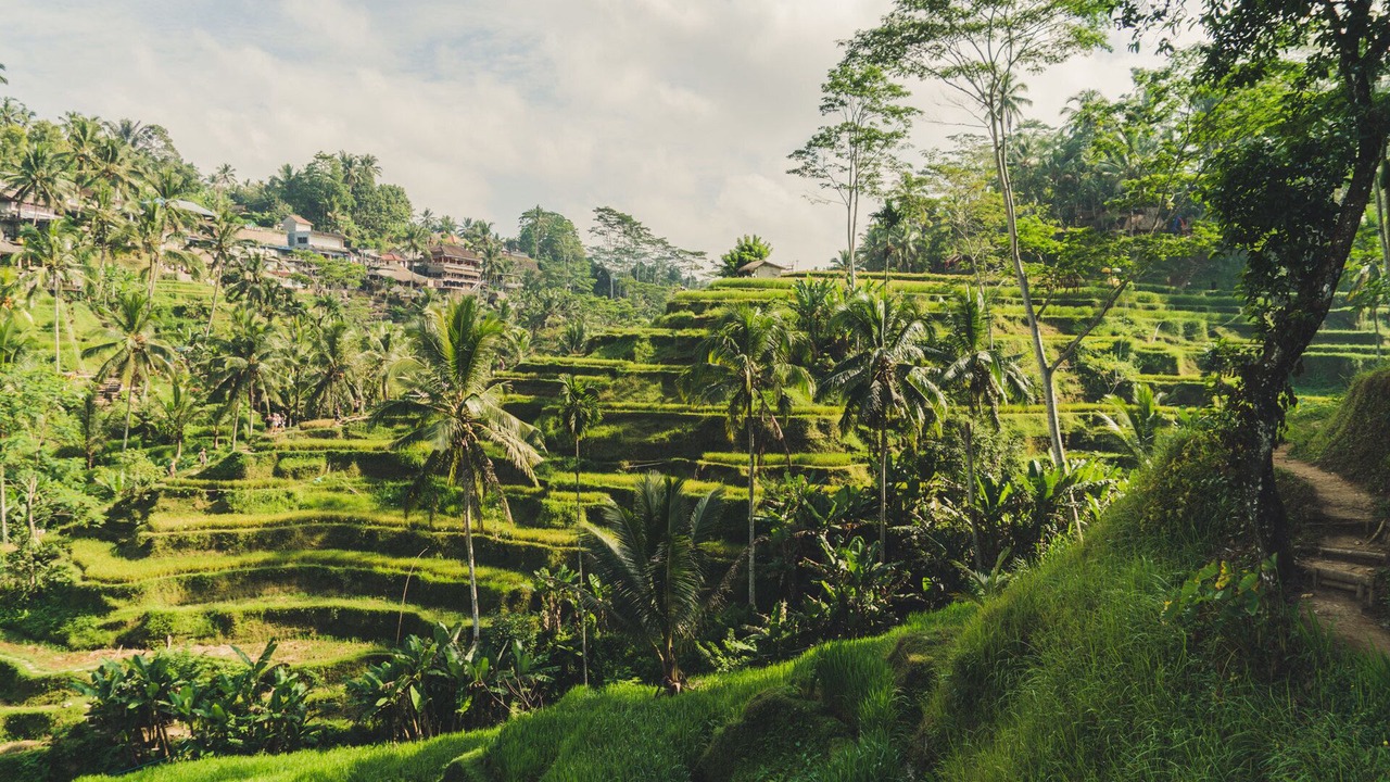 Photo of Outdoor in Berawa