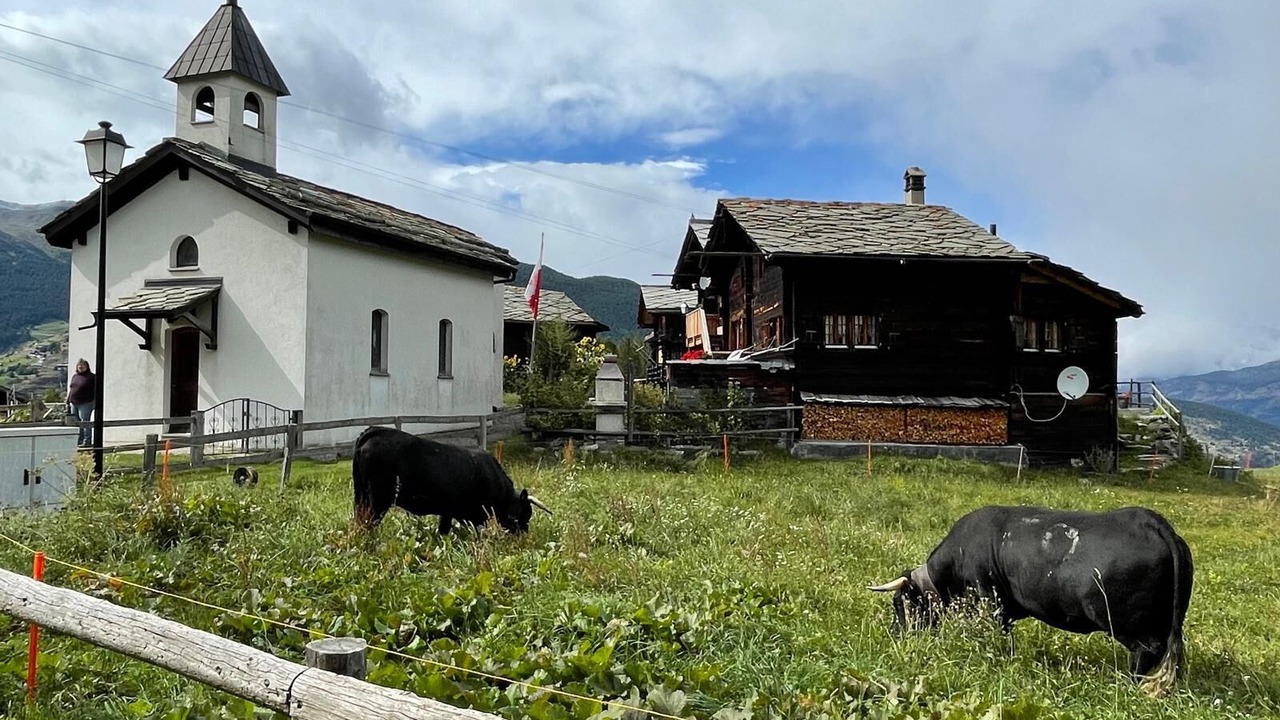 Photo of Others in Stalden
