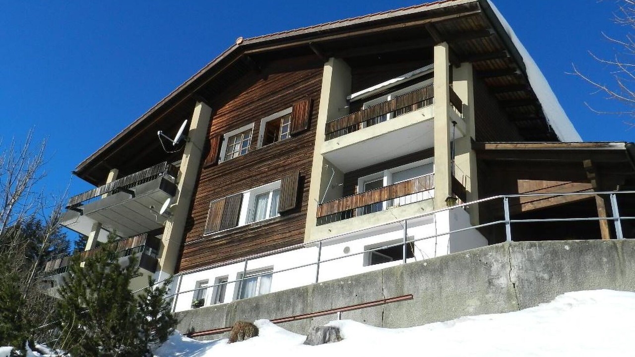 Photo of Others in Saanenmoeser