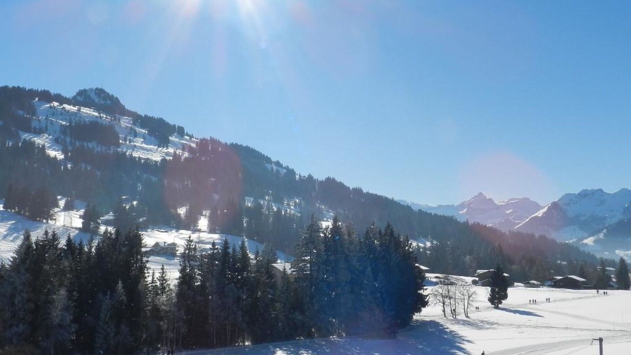 Photo of Others in Saanenmoeser