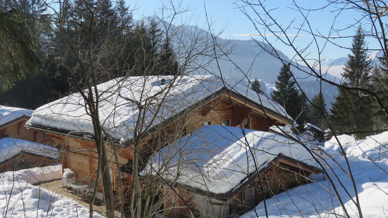 Photo of Outdoor in Ormont-Dessus