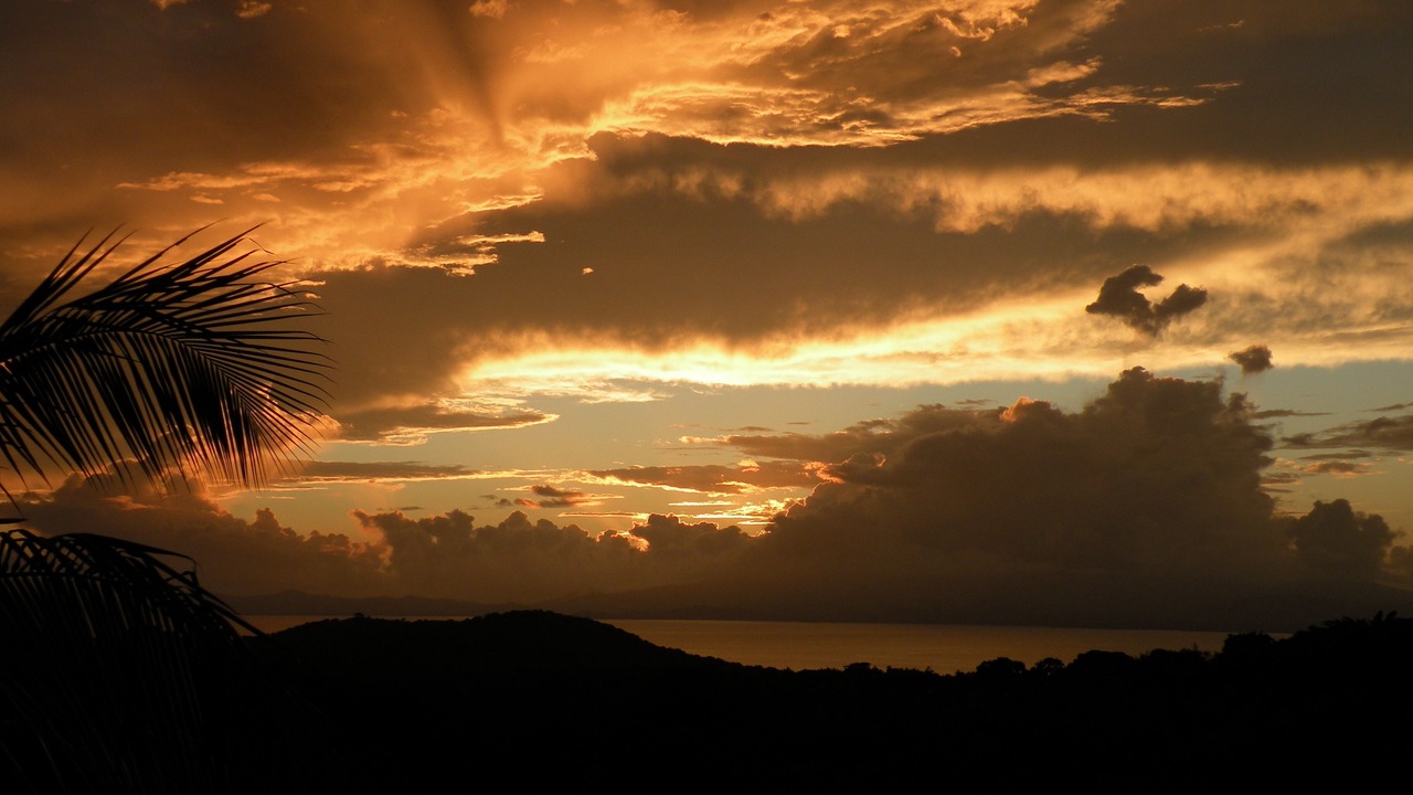 Photo of Others in Puerto Real