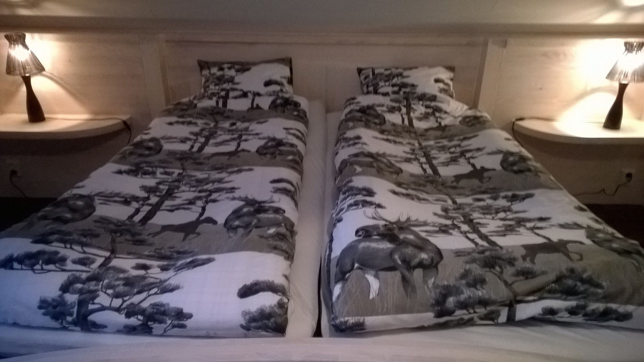 Photo of Bedroom in Nasaker