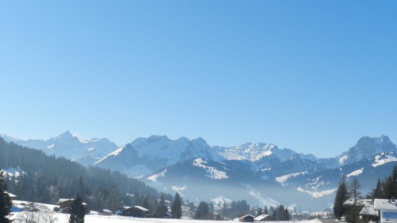 Photo of Others in Saanenmoeser