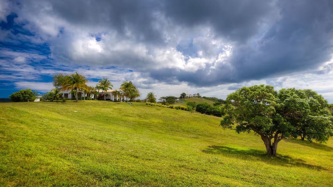 Photo of Outdoor in Puerto Real