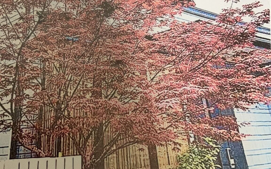 Photo of Outdoor in Okubo