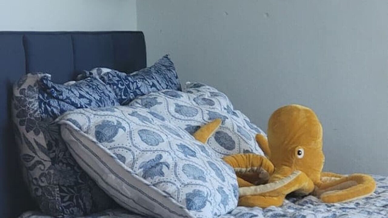 Photo of Bedroom in Machos