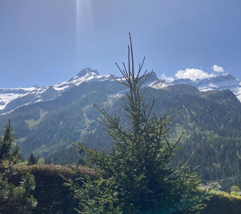 Photo of Others in Ormont-Dessus