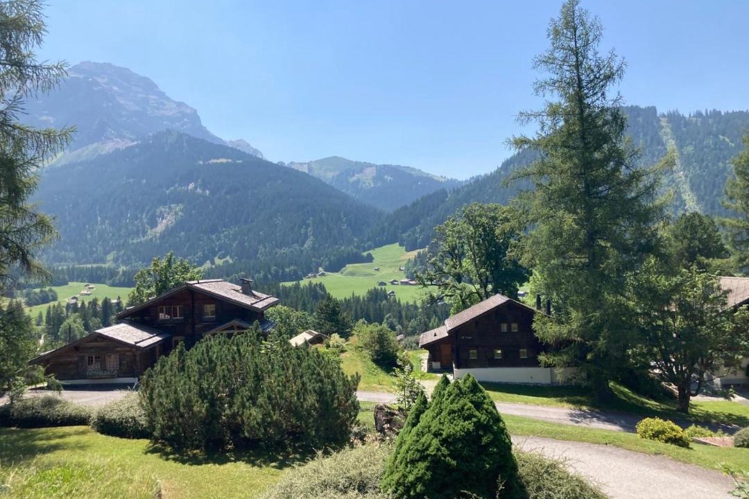 Photo of Others in Ormont-Dessus