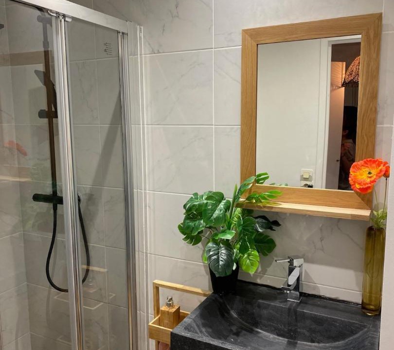 Photo of Bathroom in Billancourt–Rives de Seine