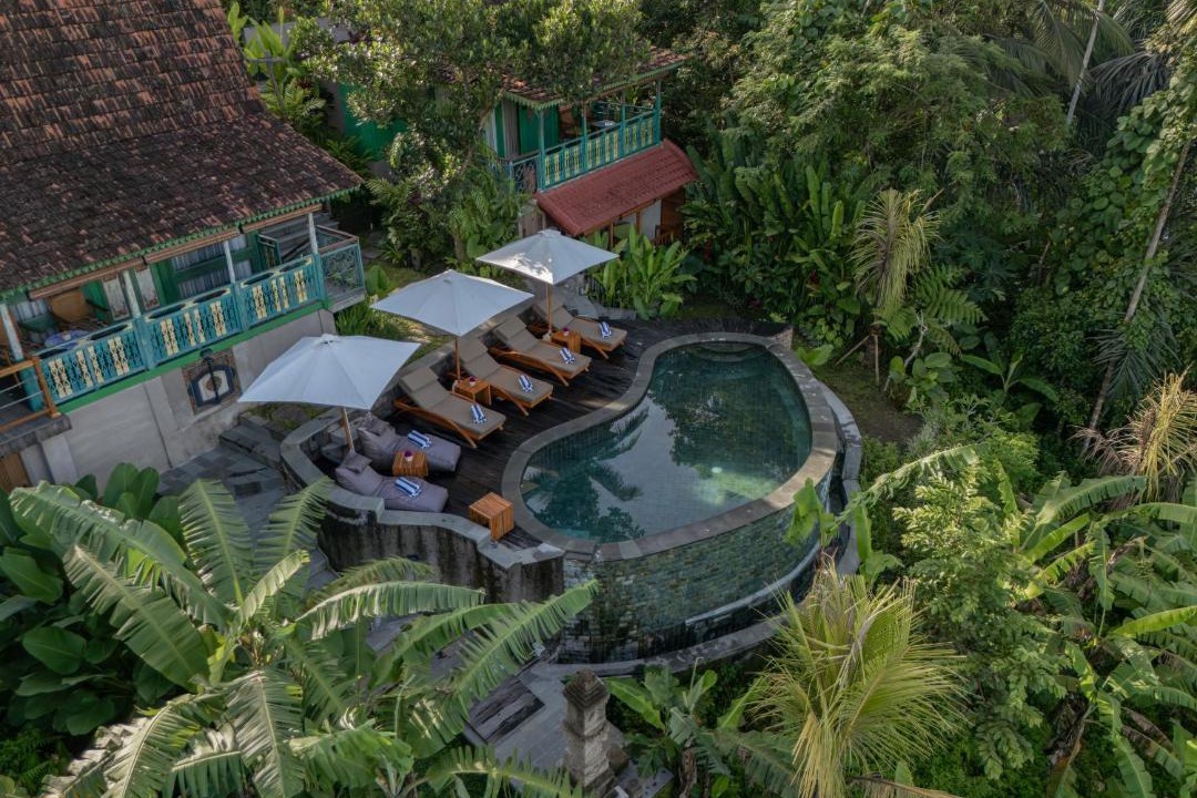 Photo of Others in Ubud