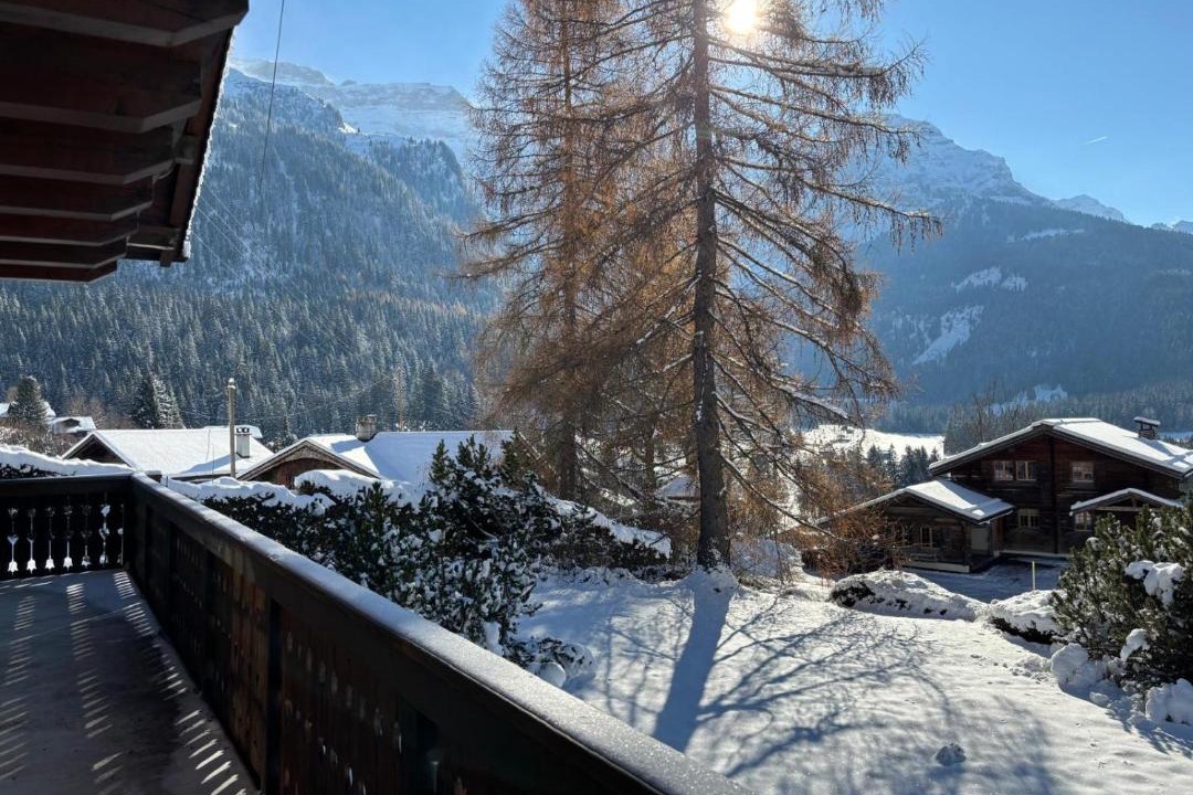 Photo of Others in Ormont-Dessus