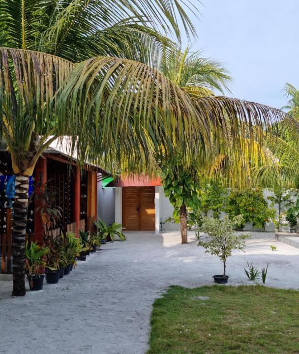 Photo of Others in Rinbudhoo