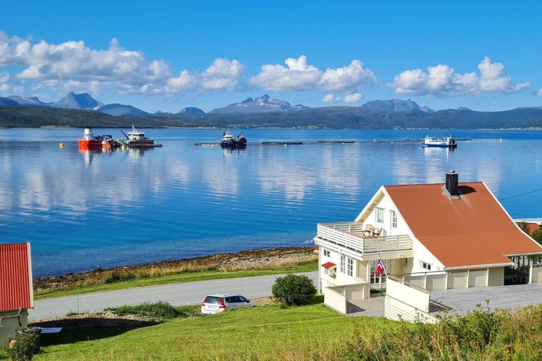 Photo of Others in Lenvik
