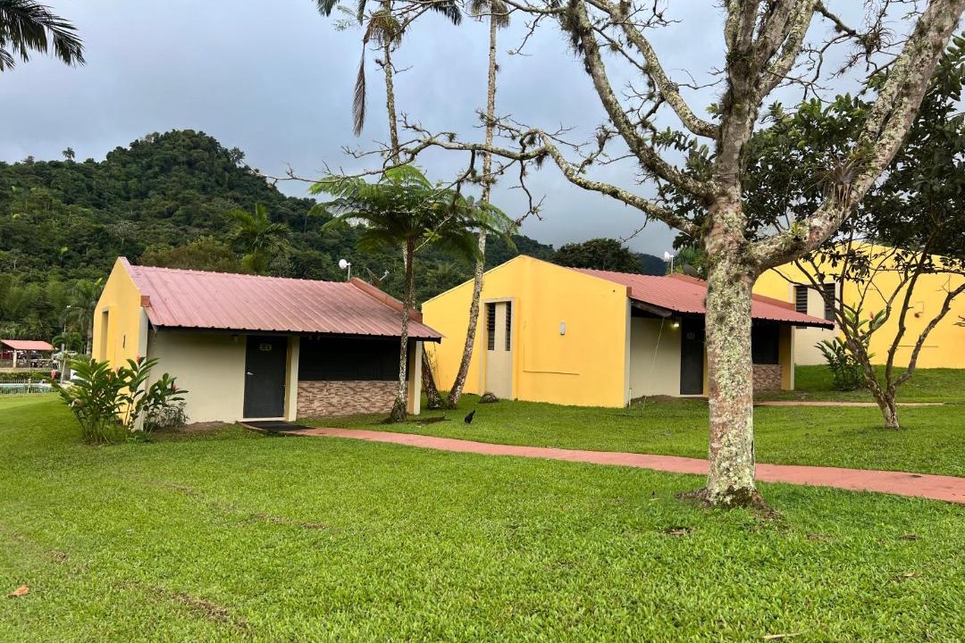 Photo of Others in Adjuntas