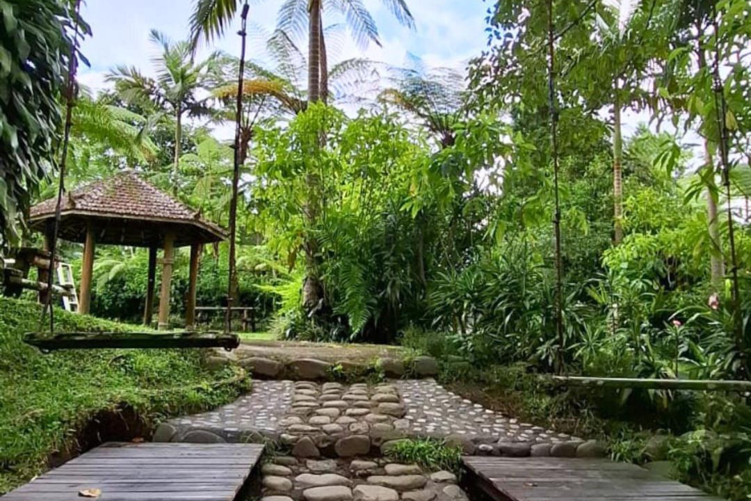 Photo of Others in Candikuning