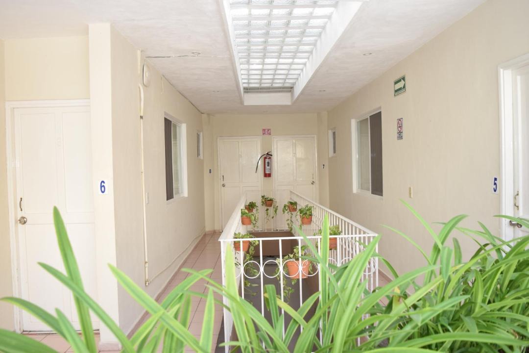 Photo of Others in Downtown Cancun