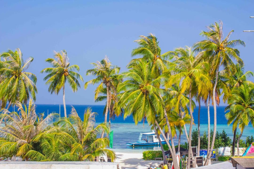 Photo of Others in Maafushi