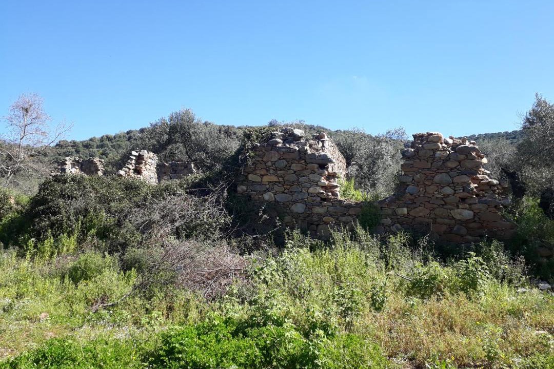 Photo of Buildings in Platanias