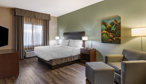 Standard Room, 1 King Bed, Accessible Bathtub (Mobility)