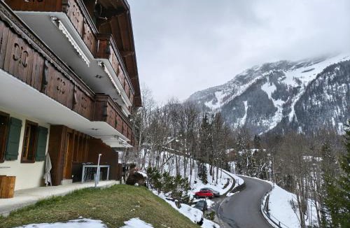 Ormont-Dessus Apartment | El Balcón des Diablerets
