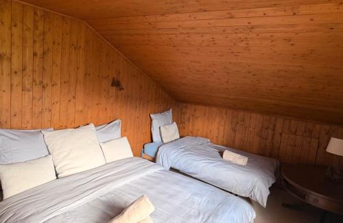 Ormont-Dessus Ski Chalet | Cozy Le Lézard chalet with mountain view fireplace