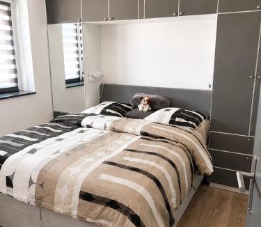 Chandolin-près-Savièse Apartment | Le BelvedErde Appartement 2,5 moderne tout équipé